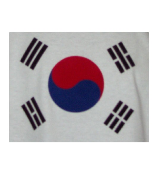 Südkorea Sweatshirt