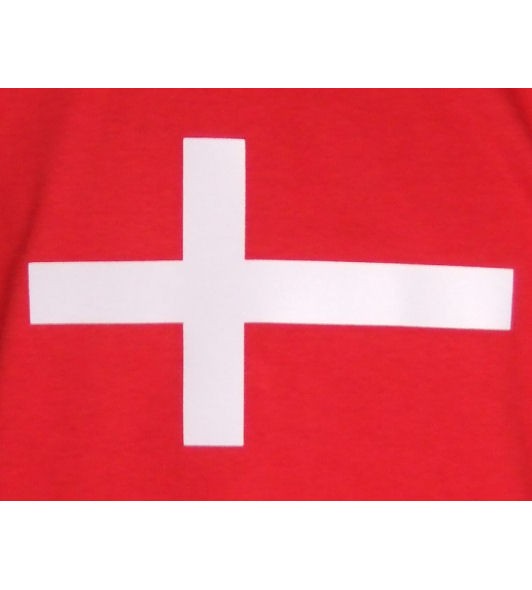 Dänemark Sweatshirt