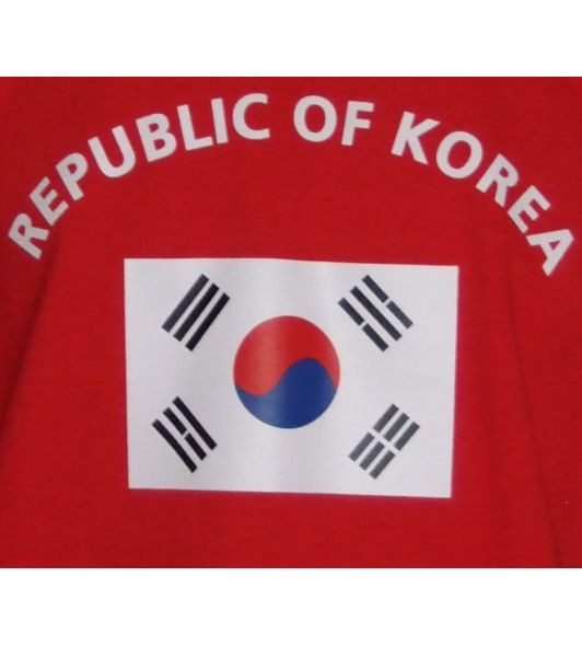 Südkorea Sweatshirt P
